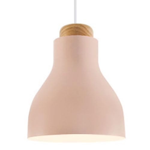 Lámpara colgante de hierro estilo sencillo lámpara de techo decorativa E27 monofocal