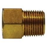 12055 Straight Adapter, 5/16 in Inverted Flared x 3/8 in Male NPTF, Brass (2 Pack)