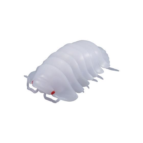 Amazon.co.jp: BADANI だんごむし05 フチゾリネッタイコシビロ