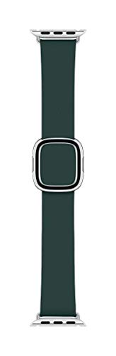 Apple Modern Buckle 40mm