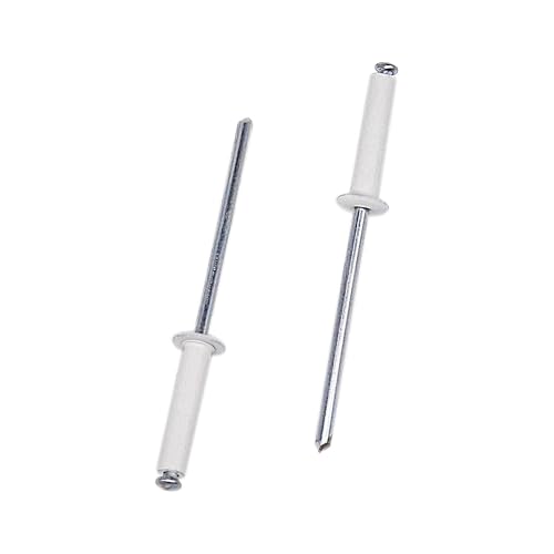 SKIR'CO 200 rivetti ciechi verniciati, 3,2 x 16 mm, rivetti ciechi in alluminio, DIN 7337, testa a cupola, mandrino in acciaio, rivetti pop (bianco puro RAL 9010)
