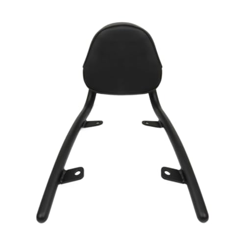 Dossier passager arrière de moto de qualité supérieure avec coussin pour Fury VT1300
