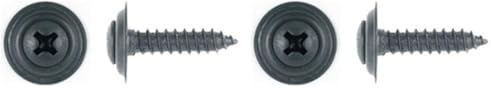 Clipsandfasteners 100#8x3/4 Phillips #6 Oval Head Wash Countersunk Trim Screws (Pack of 2)