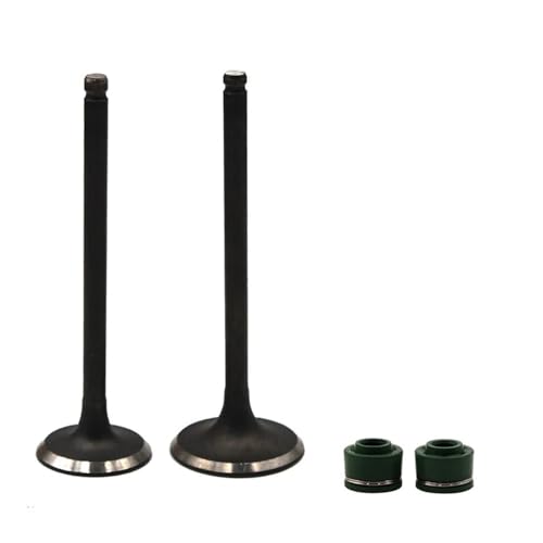 Pièces de moteur de moto TTR250 pour réparer et éliminer les bruits de claquement