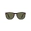 Havana/Polarized Green