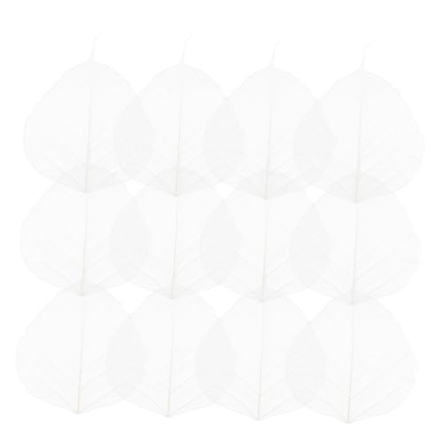 20 hojas secas prensadas para manualidades DIY miniatura 1