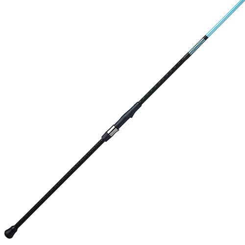 Ugly Stik 10 Carbon Surf Spinning Rod 2 Piece Fishing Rod Medium Heavy Rod Power 15-30 lb Line Rating Lure Rating 1-5 oz