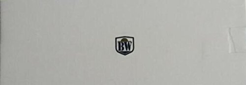 BW Brazo mágico de 11 Pulgadas con Soporte de Zapata Caliente y Soporte de cámara para cámara DSLR - Negro