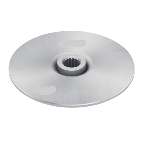 Rotor de disque de frein arrière pour corriger le manque de mordant sur S 250