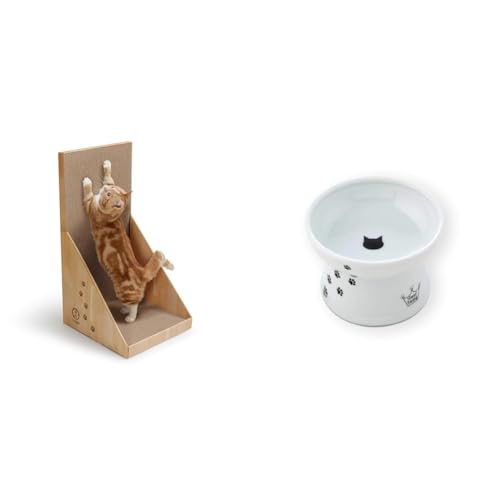 yZbgzby Amazon L ܂Ƃ oo{[h CguE (necoro) + Linecoichij nbs[_CjO Lp rtt[h{E M[ L ׂ~߃VRt