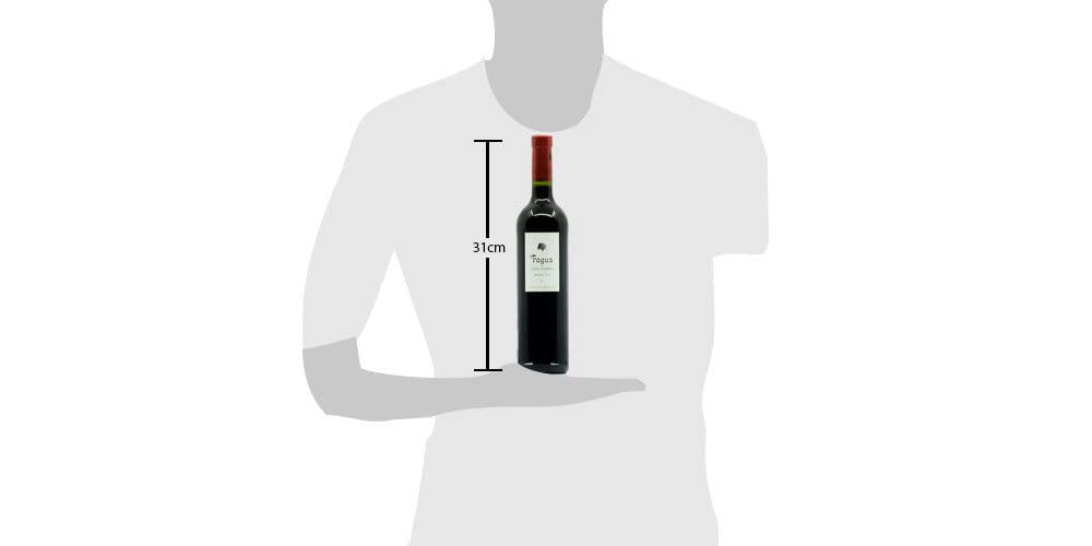 BODEGAS ARAGONESAS - FAGUS | Vino tinto Denominación de Origen Campo de Borja | 100% Garnacha | Caja de 6 Botellas - 0,75L por botella