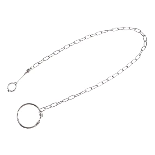 Kisangel Stainless Steel Anklet Large Foot Ring for Parrot Birds Lock Chain Buckle Separated Design Suitable for All Birds