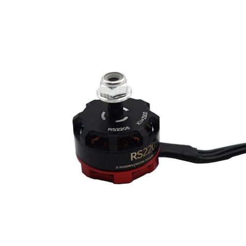 RS2205 2205 2300KV CW CCW�u���V���X���[�^�[���g���r�[30A Blheli_S ESC Racing Drones Martian II QAV-R 220mm 250mm(1 Silver Cap Motor)