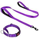 Joytale 5FT Double Handle Dog Leash for Training, Martingale Dog Collar16-20", Purple