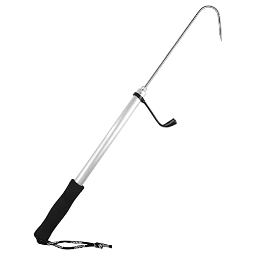 Bicheiro Retrátil Telescópico Cabo Eva Caiaque Aluminio Inox Pega Peixe 120cm e 60cm (Prata, 120cm)