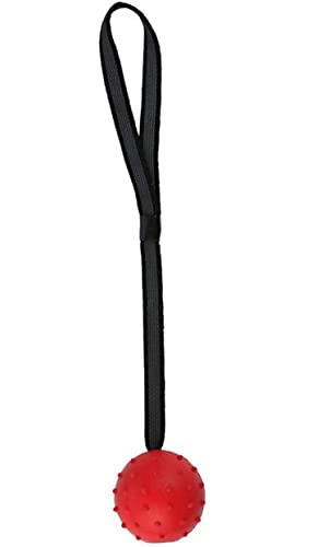 emily pets Dog Rubber Ball on Rope Toy for Dog Training Chewing and Interactive, Tug Ball Toy for Medium and Small Dog, Tough Rope Toy, Non-Toxic and Durable Dog Toy(L,Red)