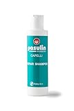 Pasulin