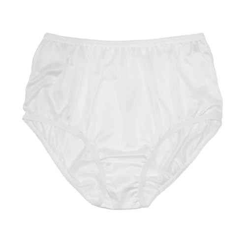 Image of Teri Women's 331 Plain Jane Classic Nylon Silky-Smooth Lightweight Breathable Full Coverage Brief Panty - 4 Pack