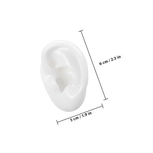 Modèle d'entraînement pour piercing d'oreilles silicone matériel perçage oreille taille M - 3