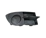 BACK2CAR - ENJOLIVEUR PARE-CHOC AVD D'OCCASION COMPATIBLE AVEC RENAULT CLIO CAMPUS II Phase 1 2006-2009,OE: 8200455990