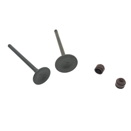 Kit soupapes admission pour entretien moteur PCX125 et SH125 de route