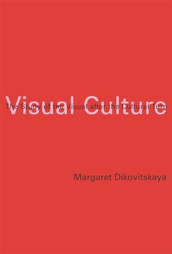 Visual Culture view 2