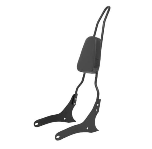 Porte-bagages de moto avec dosseret haut de gamme pour Rebel CMX 500 300