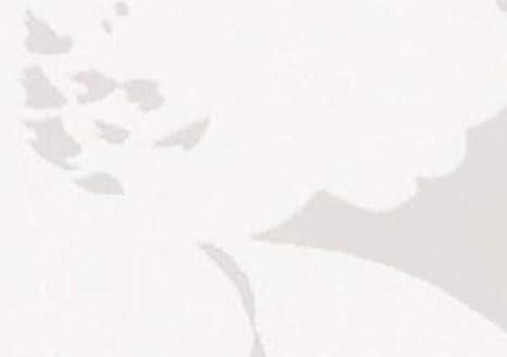 Amazon ローラ アシュレイ 壁紙 ファーレイ のりなし ベスト クロス Bl1901 1902 1ｍ単位で切り売り Bl1902 壁紙