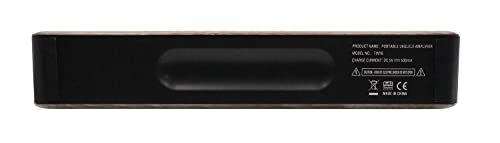 Flight TINY6 ウクレレ用ミニアンプ TINY6-WALNUT