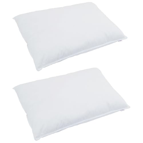 VidaXL Duvet de Plumas de Ganso Blanco