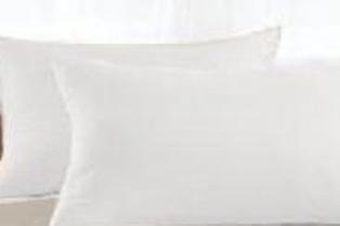 organic pillow inserts