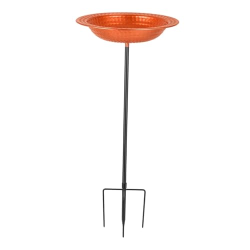 Bain d'oiseaux de jardin en fer avec pieu métallique robuste pour extérieur