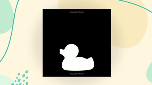 Black White: A High Contrast Book for Newborns