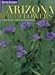 Arizona Wildflowers: A Year-Round Guide to Nature's Blooms (Arizona Highways: Travel Arizona Collection)