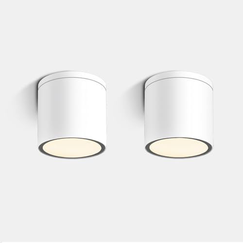 EBION Ceiling Lights 2 Pack,IP54 Waterproof Surface Mounted Downlight,GU10 Ceiling Spot Lights, Aluminum Flush Ceiling Lighting Fixture for Bedroom,Living Room,Bathroom,Hallway,Office,White