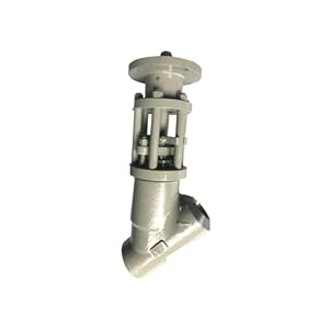 FANNIXI 1 Zoll Edelstahl Y-Typ Absperrventil