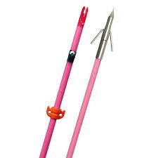AMS Fiberglass Arrow, AnKor QT, Pink Shaft & EverGlide