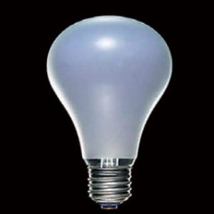 Amazon | 東芝 ブルーソフトランプ 100W 口金E26 LB100V100W-NA | 東芝