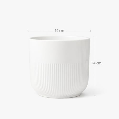 Image of Xtore Studio Ceramic Ribbed Planter | Round Decorative Flower Pot for Home, Bedroom & Living Room Decor - (White, 1 Piece, Planter ONLY)