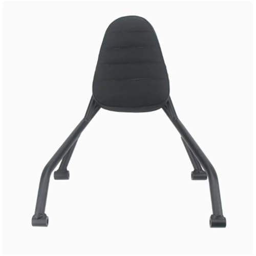 Coussin dossier de siège arrière moto 250CLC avec cadre support de modification châssis