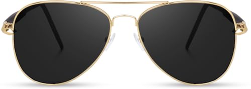 Image of Legend Eyewear Aviator Sunglasses (For Men & Women, Black) Dabangg Aviator Black Gold