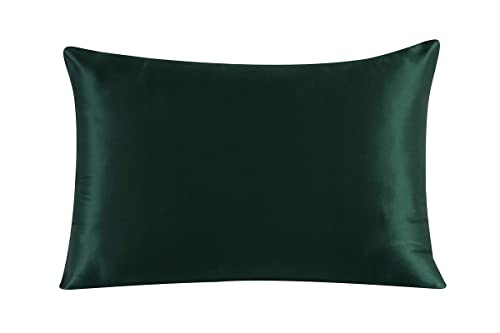 townssilk Federa su entrambi i lati 100% pura seta di gelso da 19 mm per la salute dei capelli e della pelle, federa per cuscino di dimensioni 50x60cm con cerniera nascosta Emerald