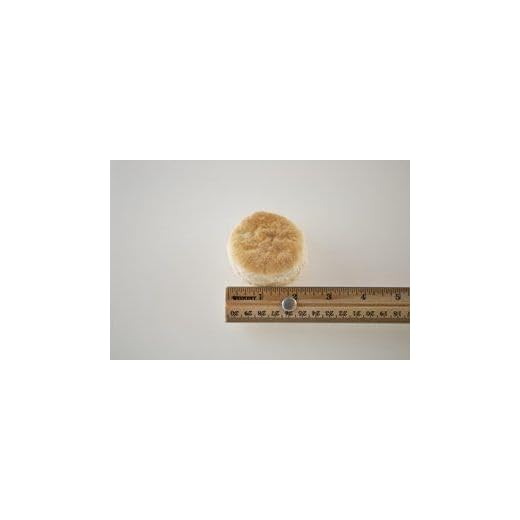 Pillsbury Frozen Mini Buttermilk Biscuits