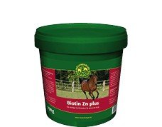 Biotina Zn Plus 10 Kg