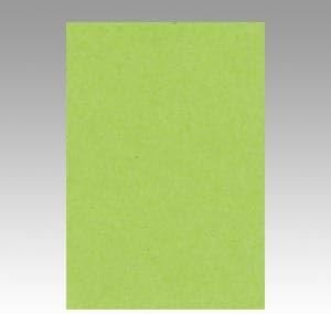 （業務用セット） 文運堂 ニューカラーR 八ツ切 横271&times;縦392mm 8NCR-212 きみどり 100枚入 【&times;2セット】 生