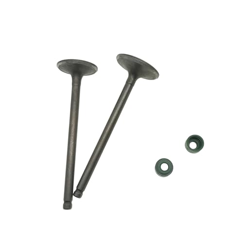Joint d'étanchéité soupape d'admission DR125 anti-fumée bleue pour moto 125 CC