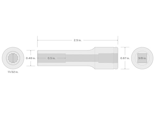 Image of TEKTON 3 /8 Inch Drive x 11 /32 Inch Deep 12-Point Socket | SHD13209