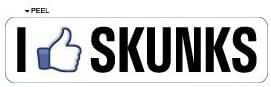Amazon.com - I Like SKUNKS - Window Bumper Sticker