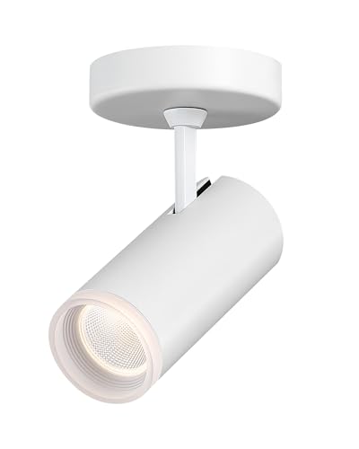 Image of 9W LED Dimmable Ceiling Spotlight Indoor - Adjustable Surface Mount Accent Fixture for Corridor, Living Room, Plants & Artwork | Warm White 3000K CRI 97 Directional Spot Light, White Finish