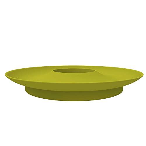 Romberg Avocado Kit | für die Anzucht von Avocadopflanzen | freischwimmend | 15 cm Ø x 1.8 cm | Sommergrün